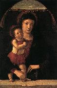 BELLINI, Giovanni, Madonna with Child lll